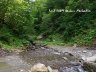 Carpathian trip - river 